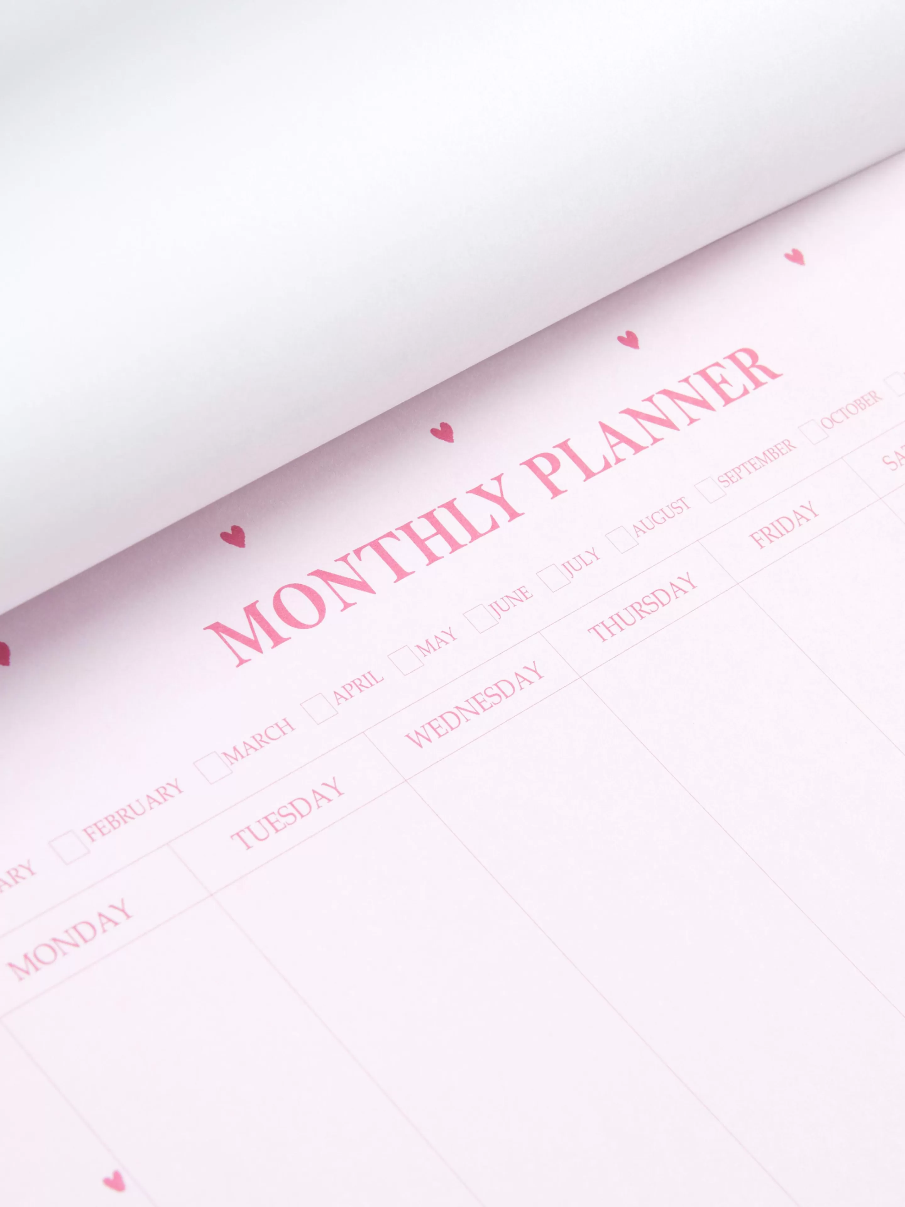 Agenda Mensuel A4 à Motifs Cœur-Primark Best