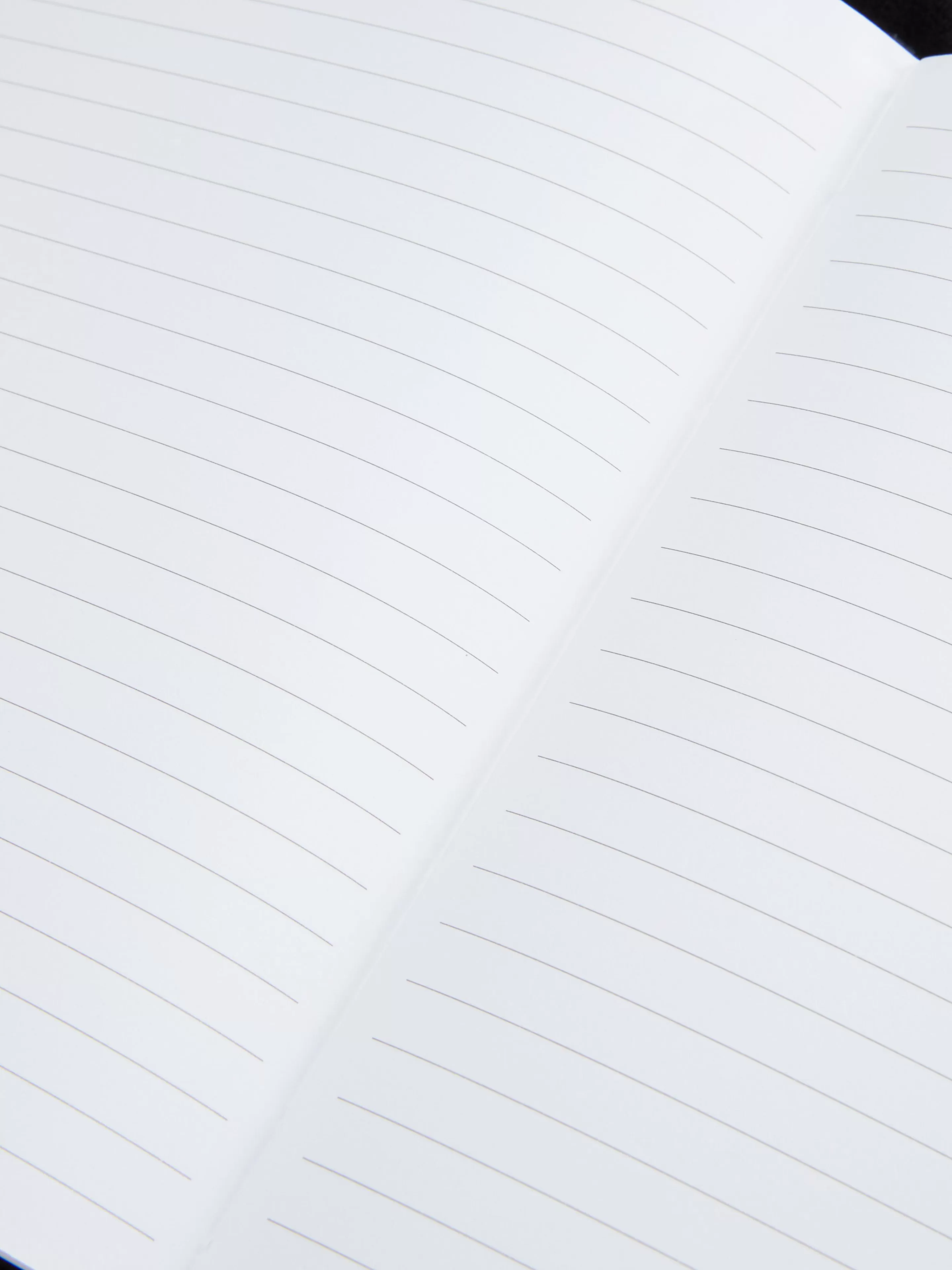 Carnet A5 Animal Duveteux-Primark Hot