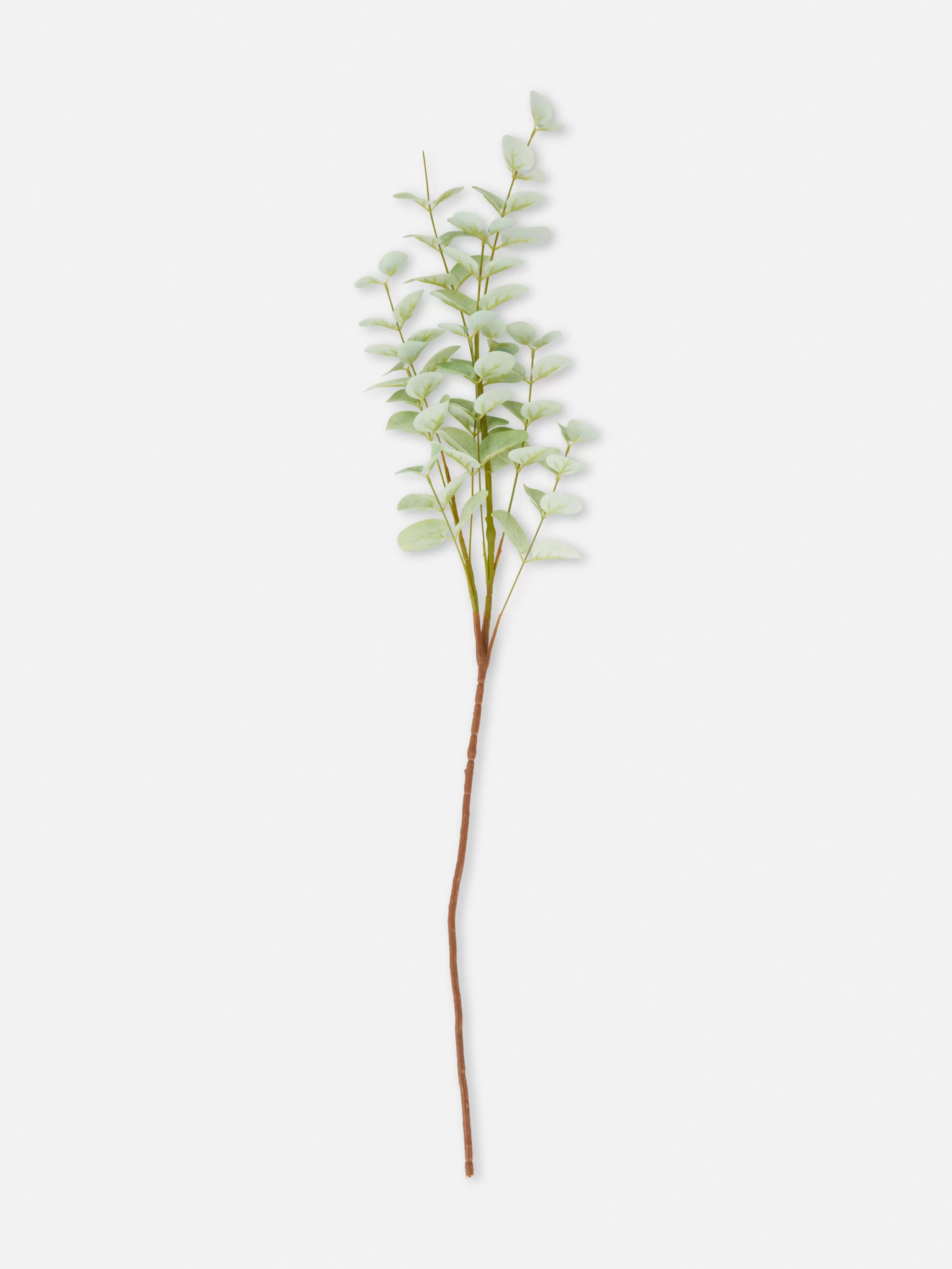 Eucalyptus Artificiel à Tige Unique-Primark Best