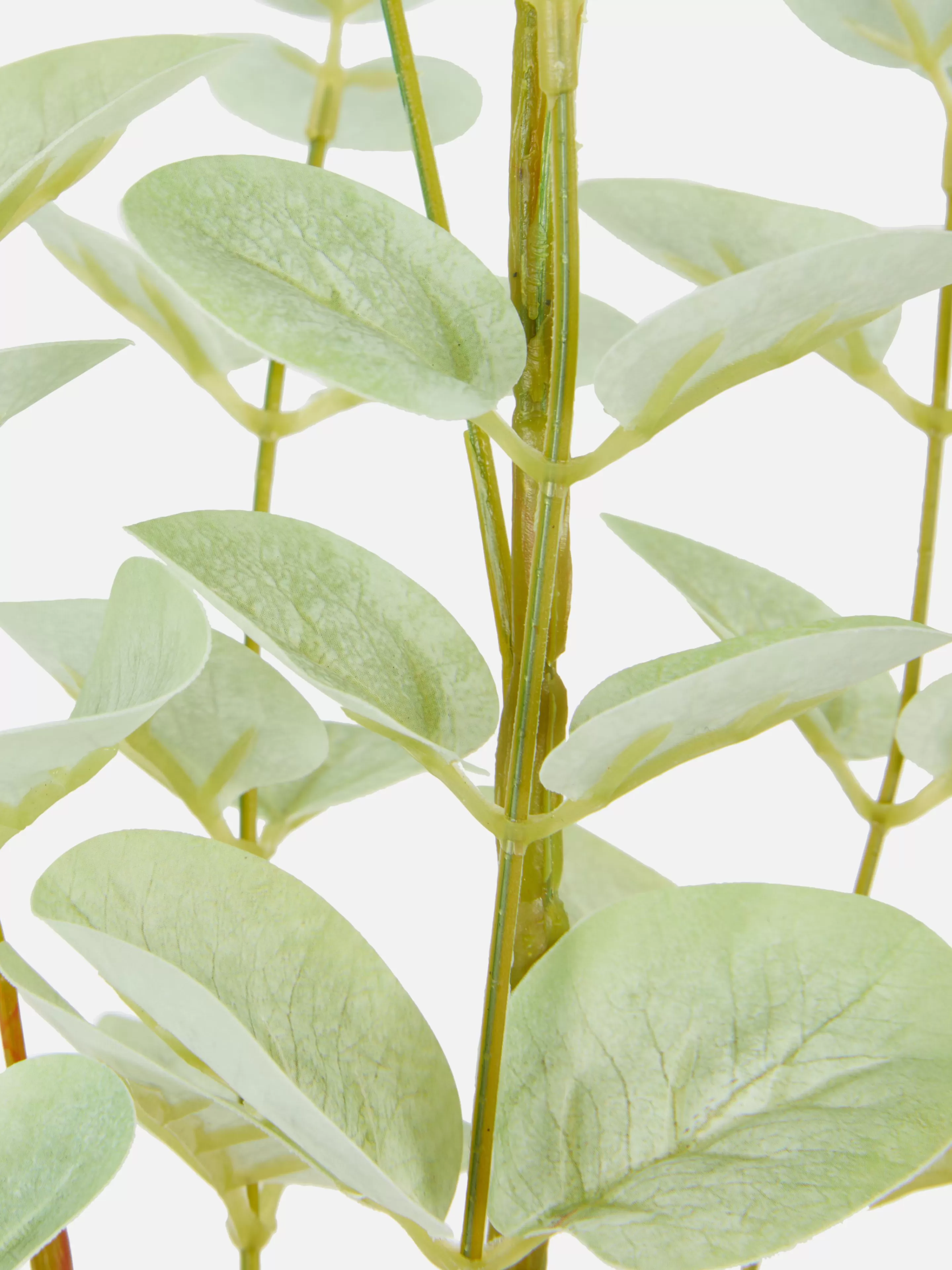 Eucalyptus Artificiel à Tige Unique-Primark Best