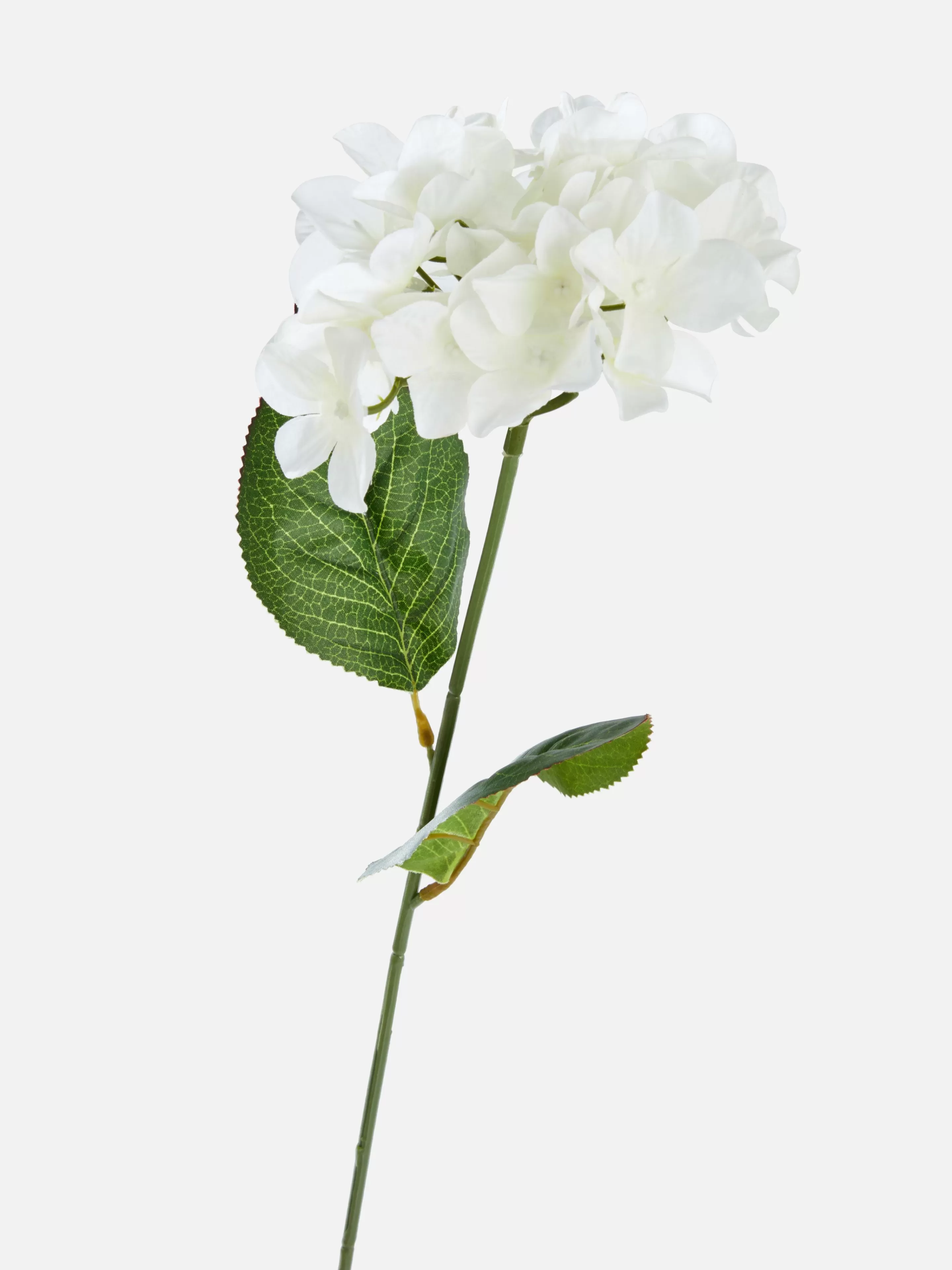 Fausse Fleur à Tige Unique-Primark Cheap