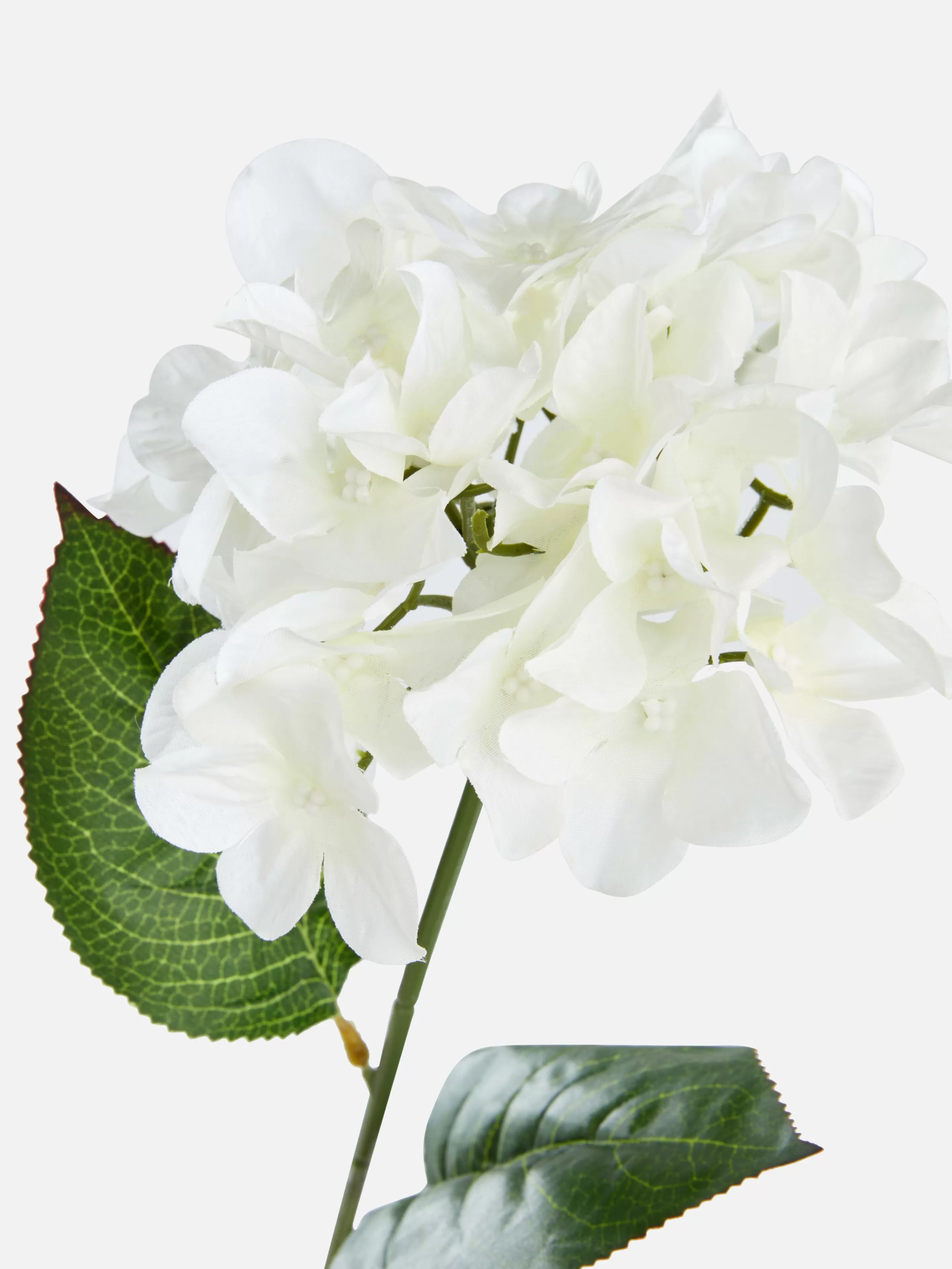 Fausse Fleur à Tige Unique-Primark Cheap
