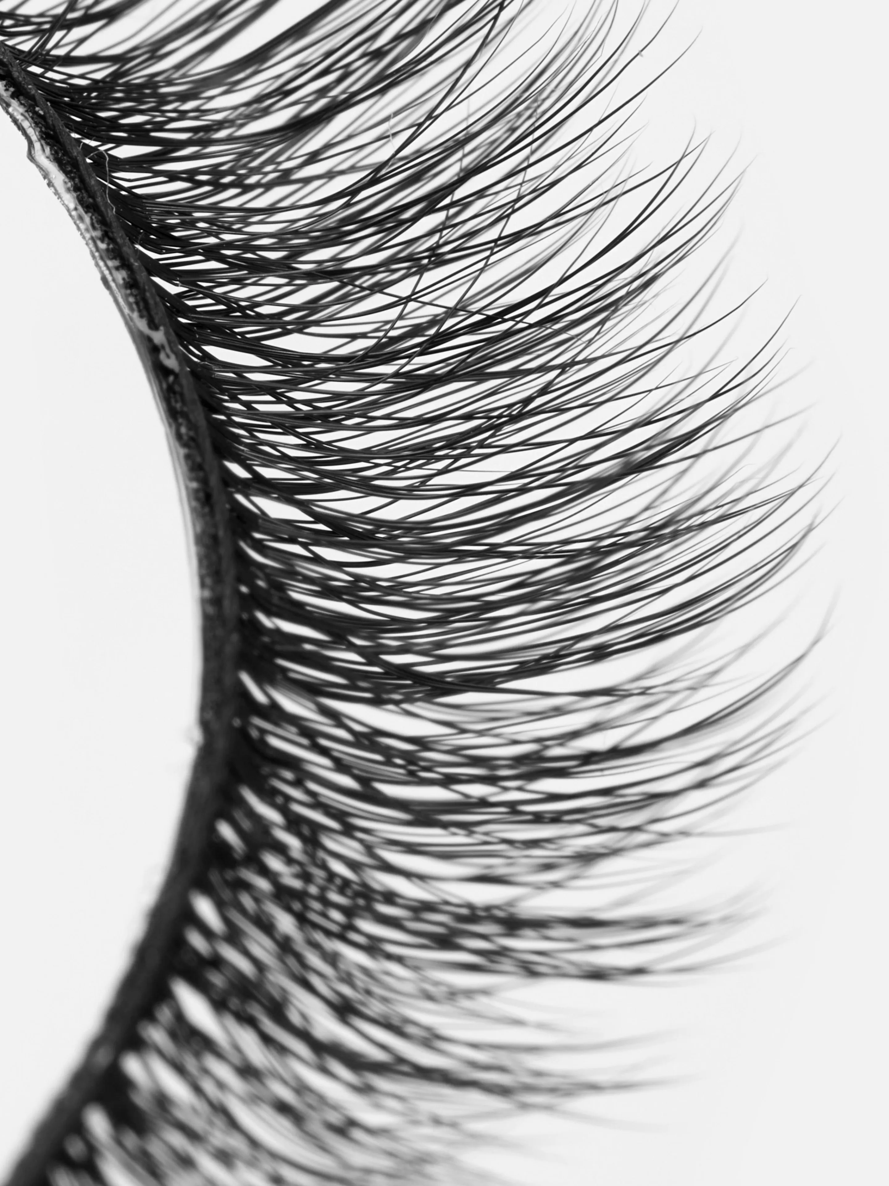 Faux Cils PS...-Primark Discount