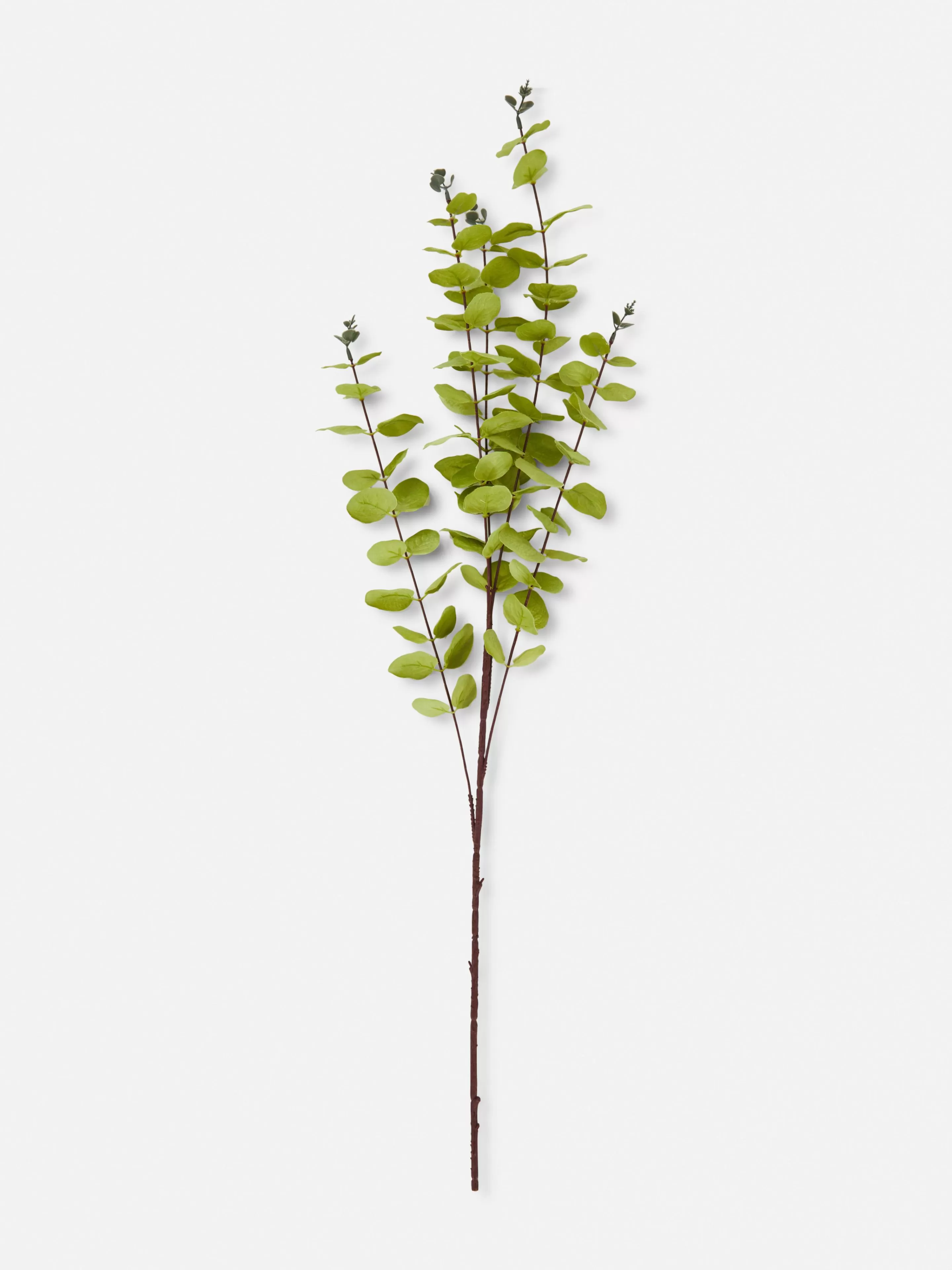 Faux Eucalyptus à Tige Unique-Primark Cheap