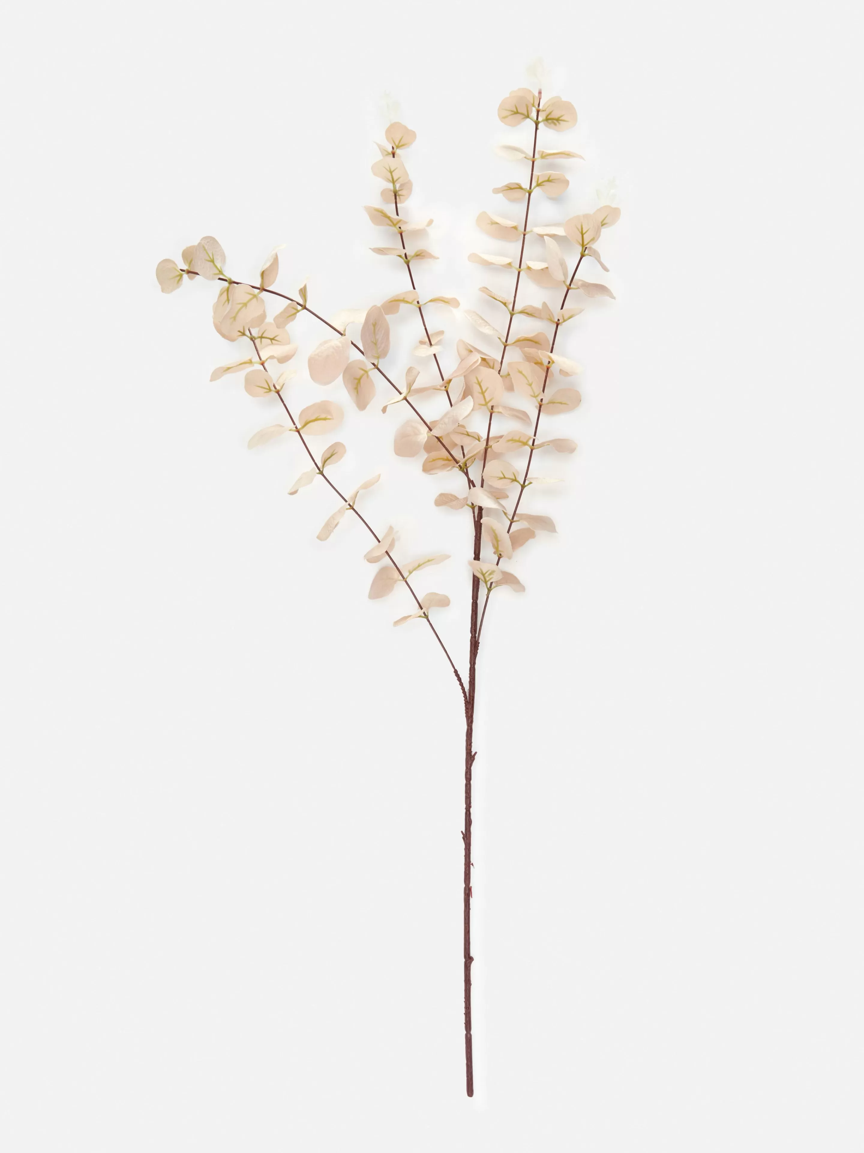 Faux Eucalyptus à Tige Unique-Primark Best Sale
