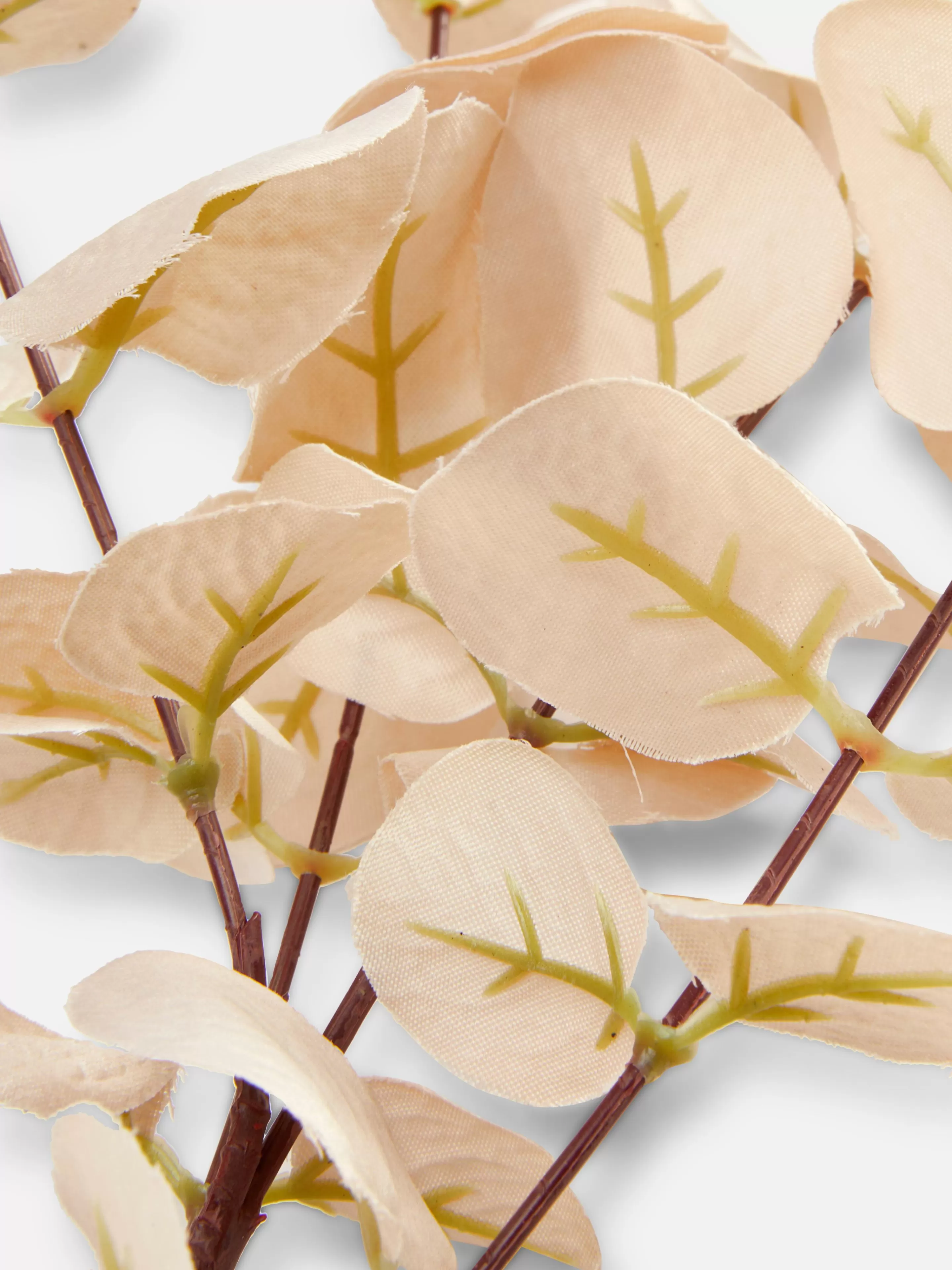 Faux Eucalyptus à Tige Unique-Primark Best Sale