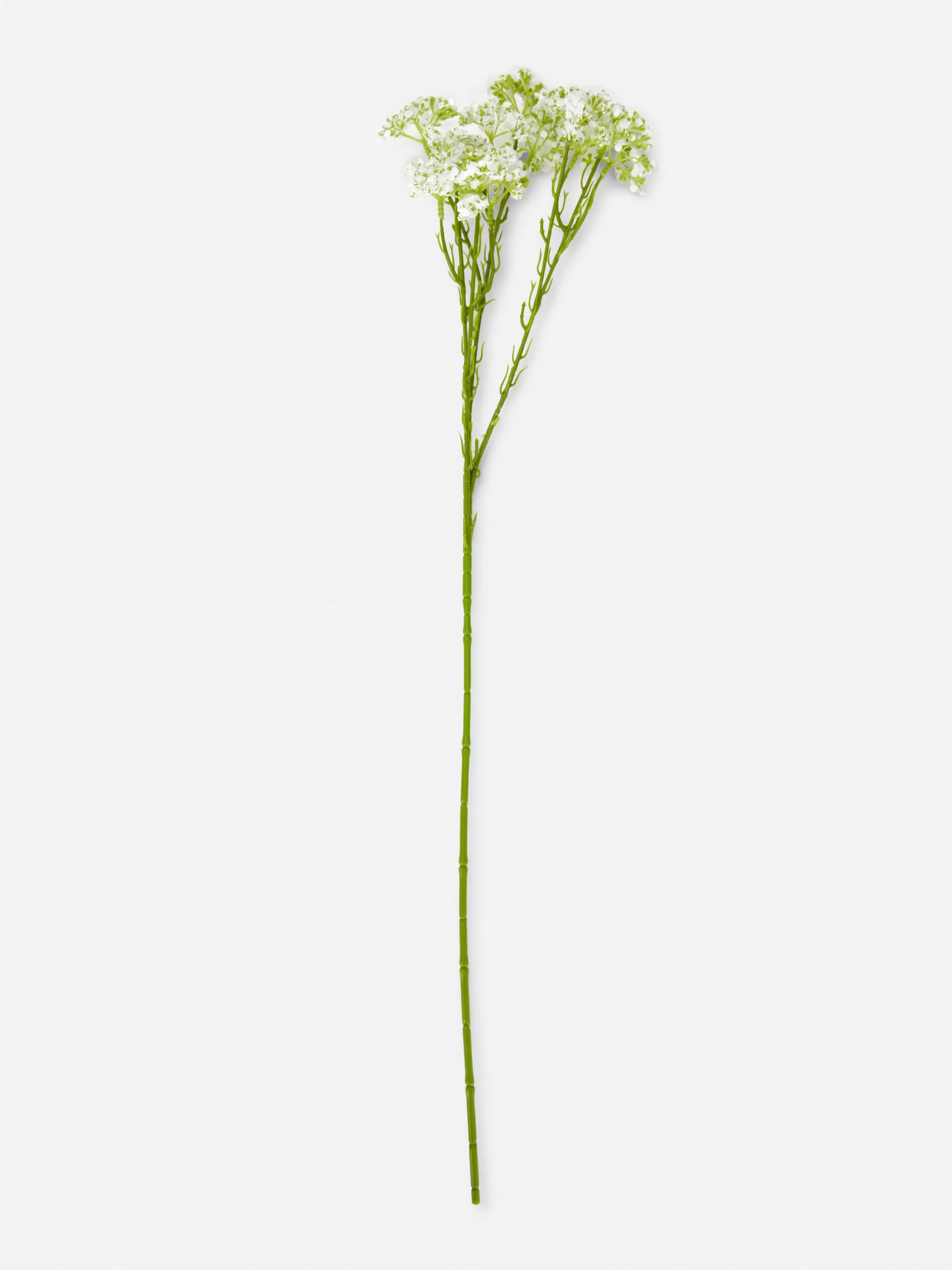 Gypsophile Artificielle Une Tige-Primark Online