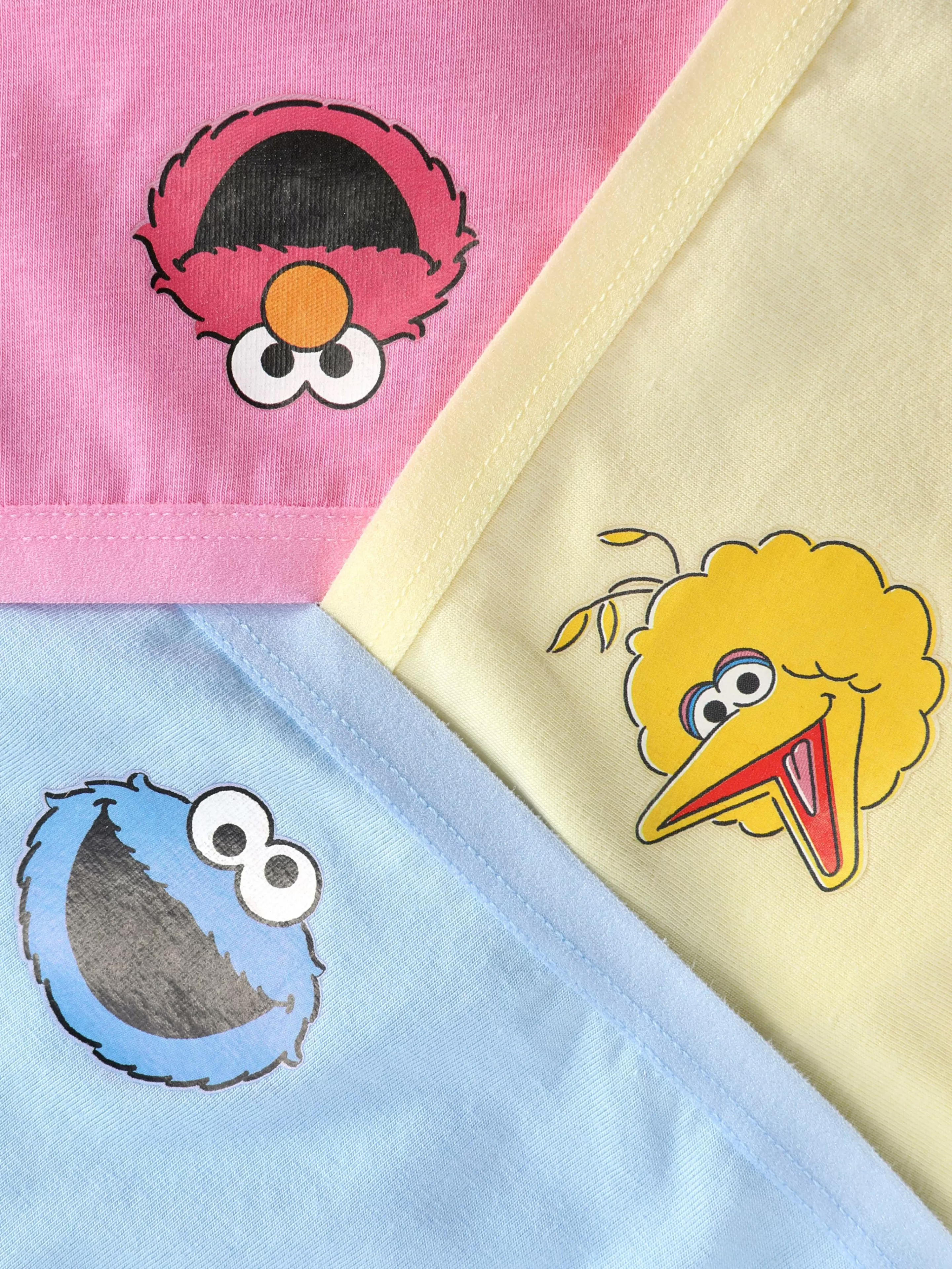 Lot De 3 Culottes Personnage Sesame Street-Primark Fashion