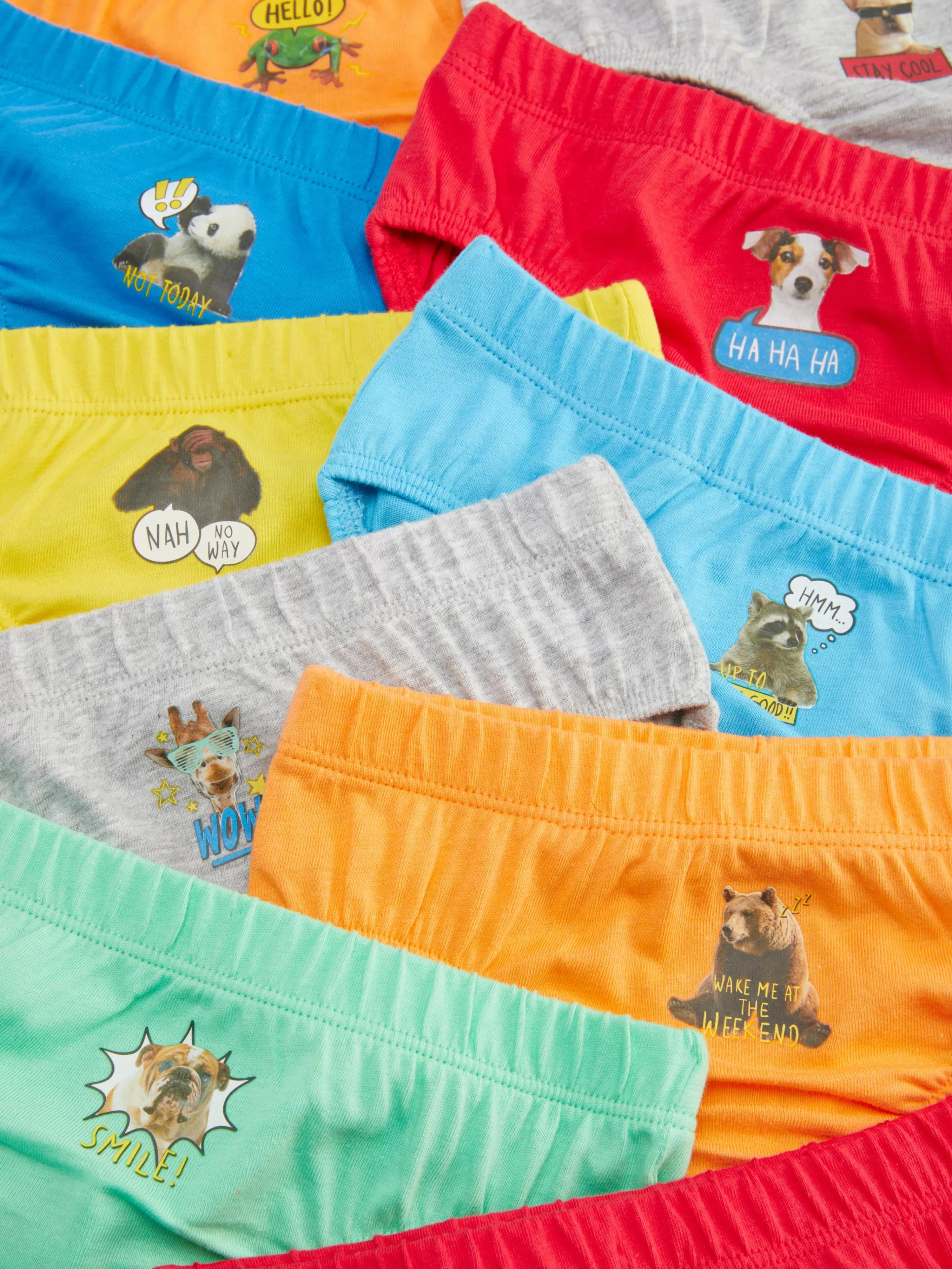 Lot De 10 Slips à Motif Animalier-Primark Shop