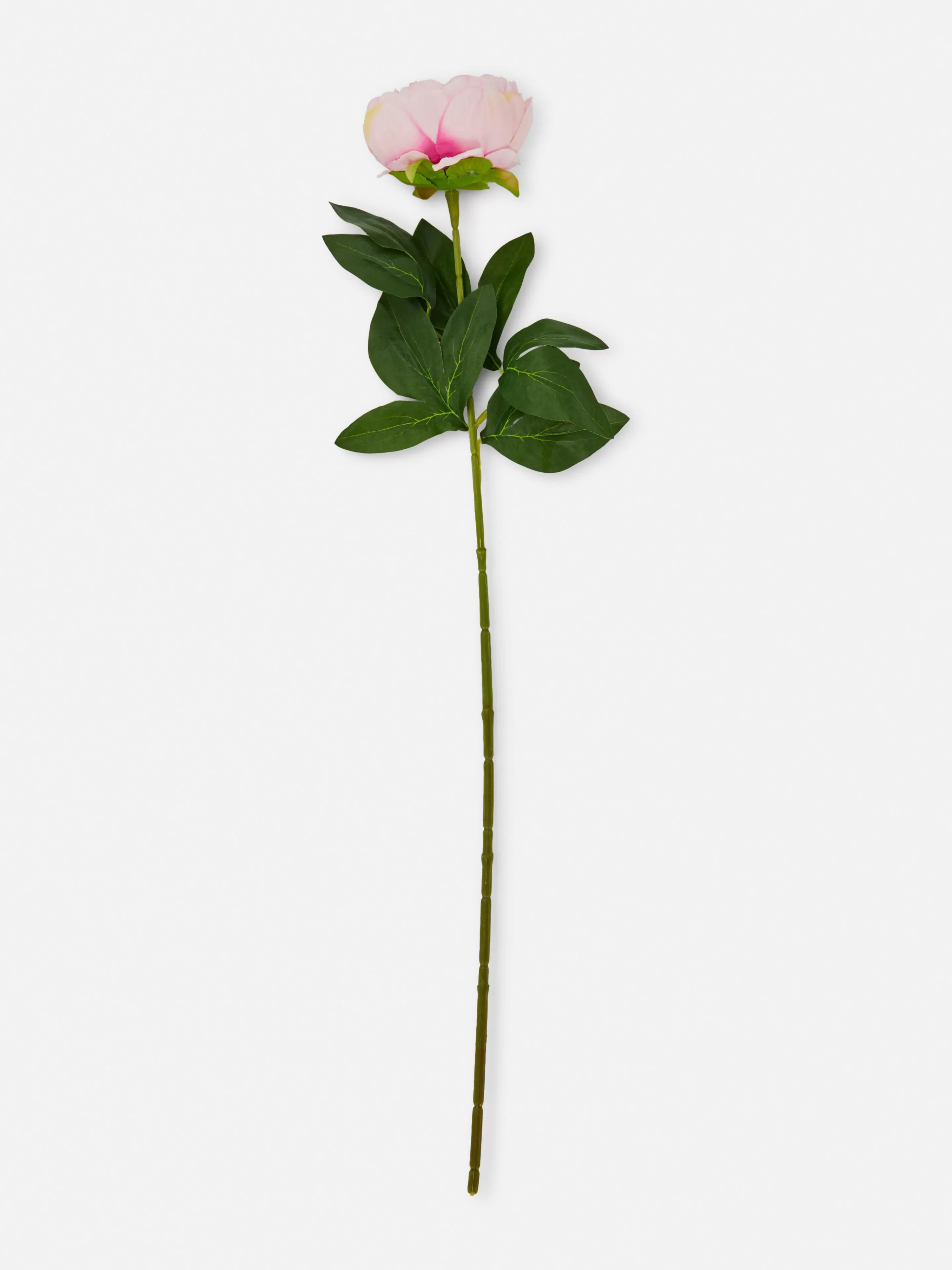 Pivoine Artificielle Une Tige-Primark Cheap
