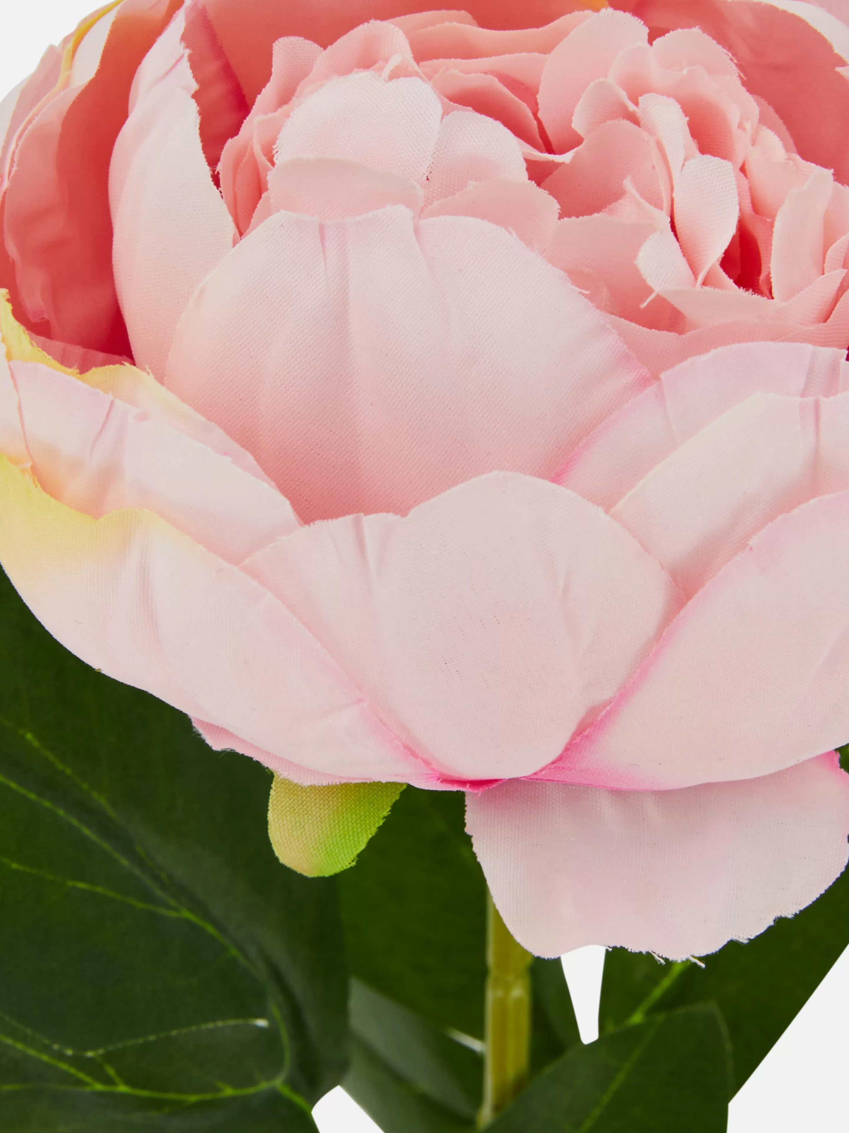 Pivoine Artificielle Une Tige-Primark Cheap