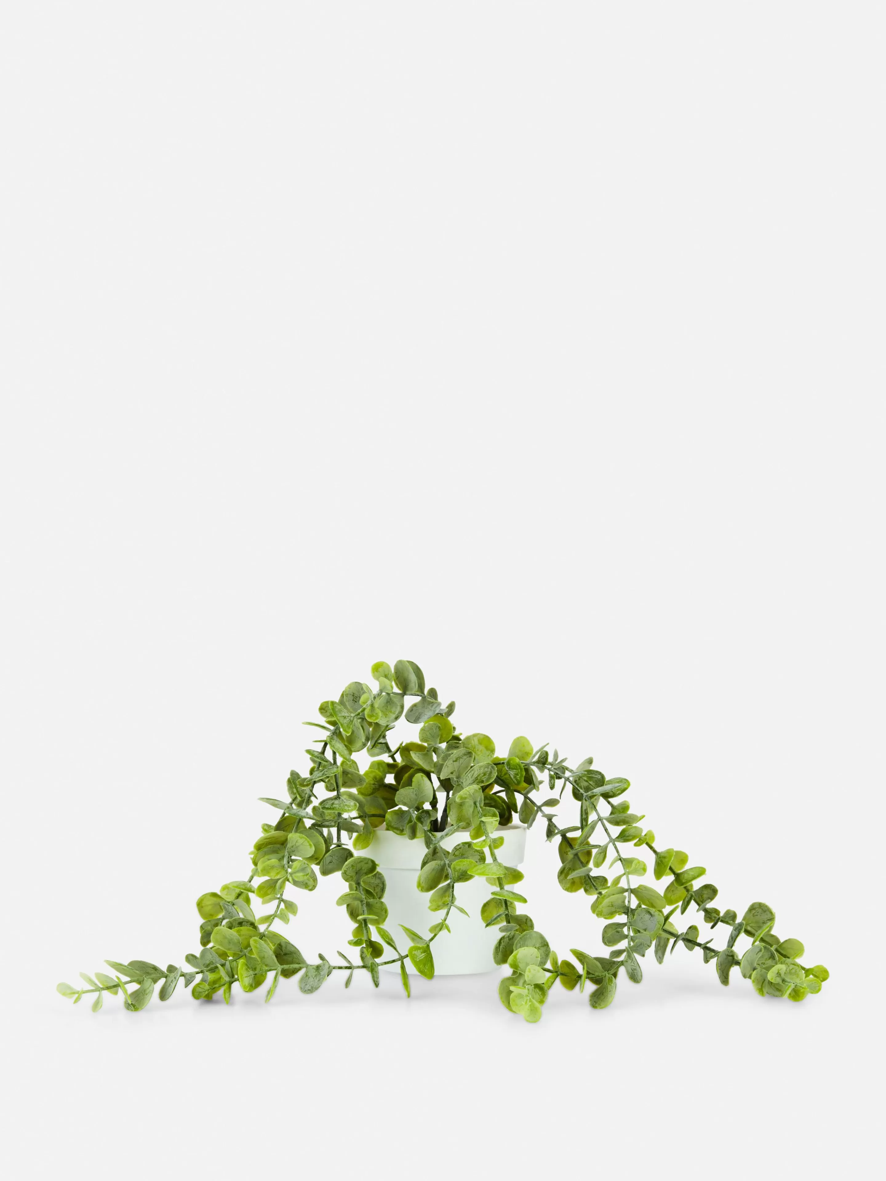 Plante Rampante Artificielle En Pot-Primark Shop
