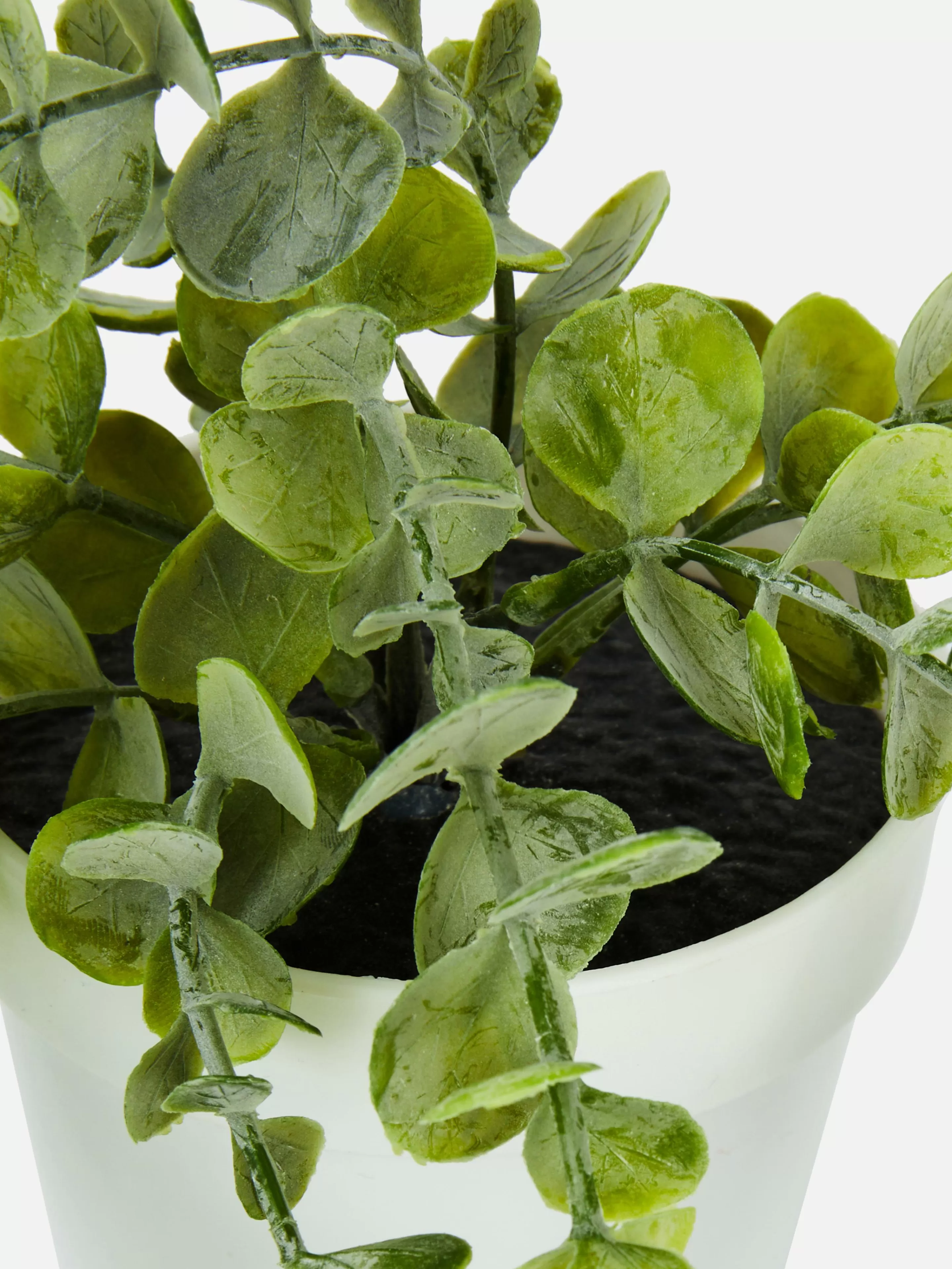 Plante Rampante Artificielle En Pot-Primark Shop