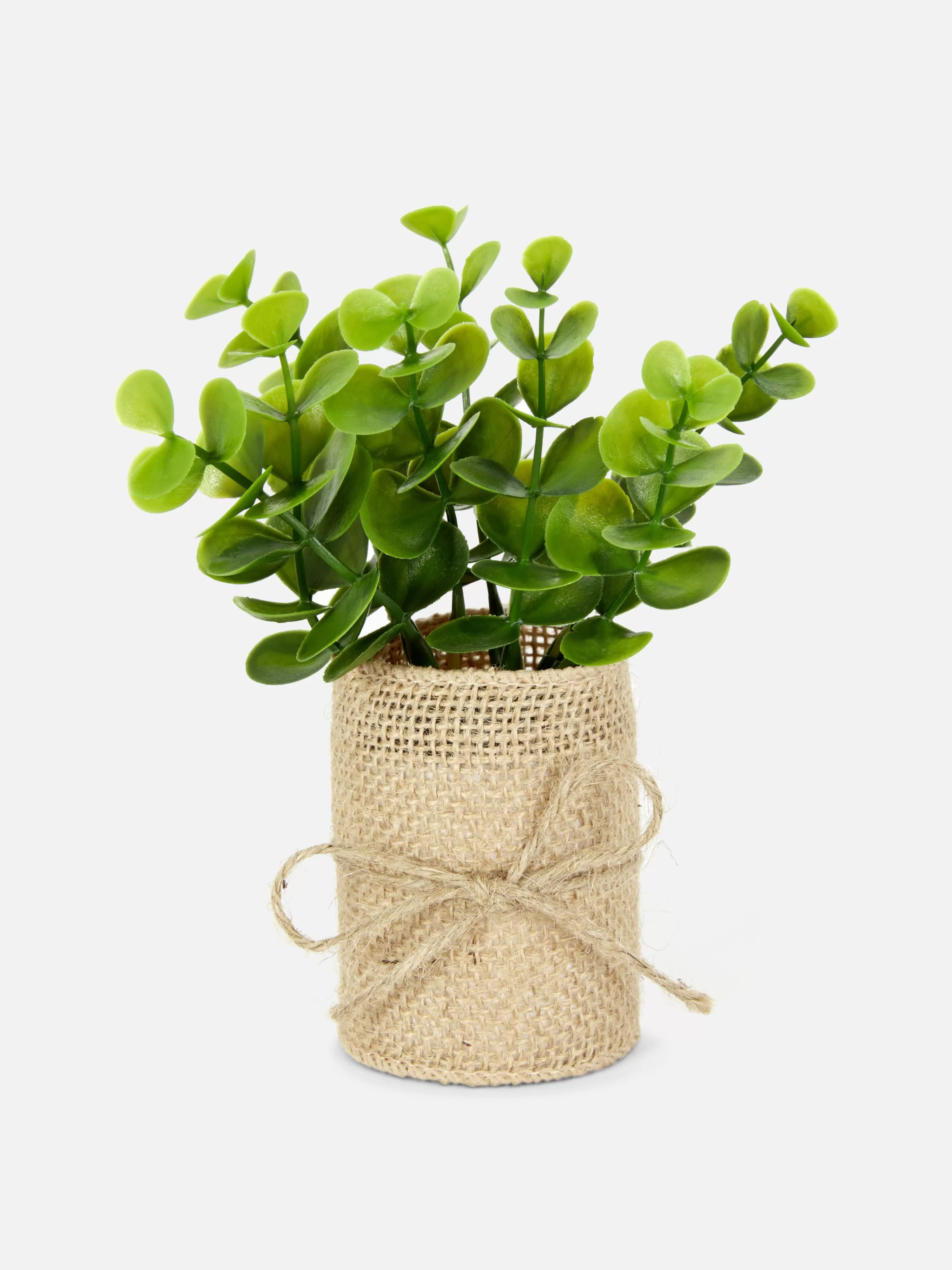 Succulente Artificielle Dans Un Pot En Jute-Primark Flash Sale