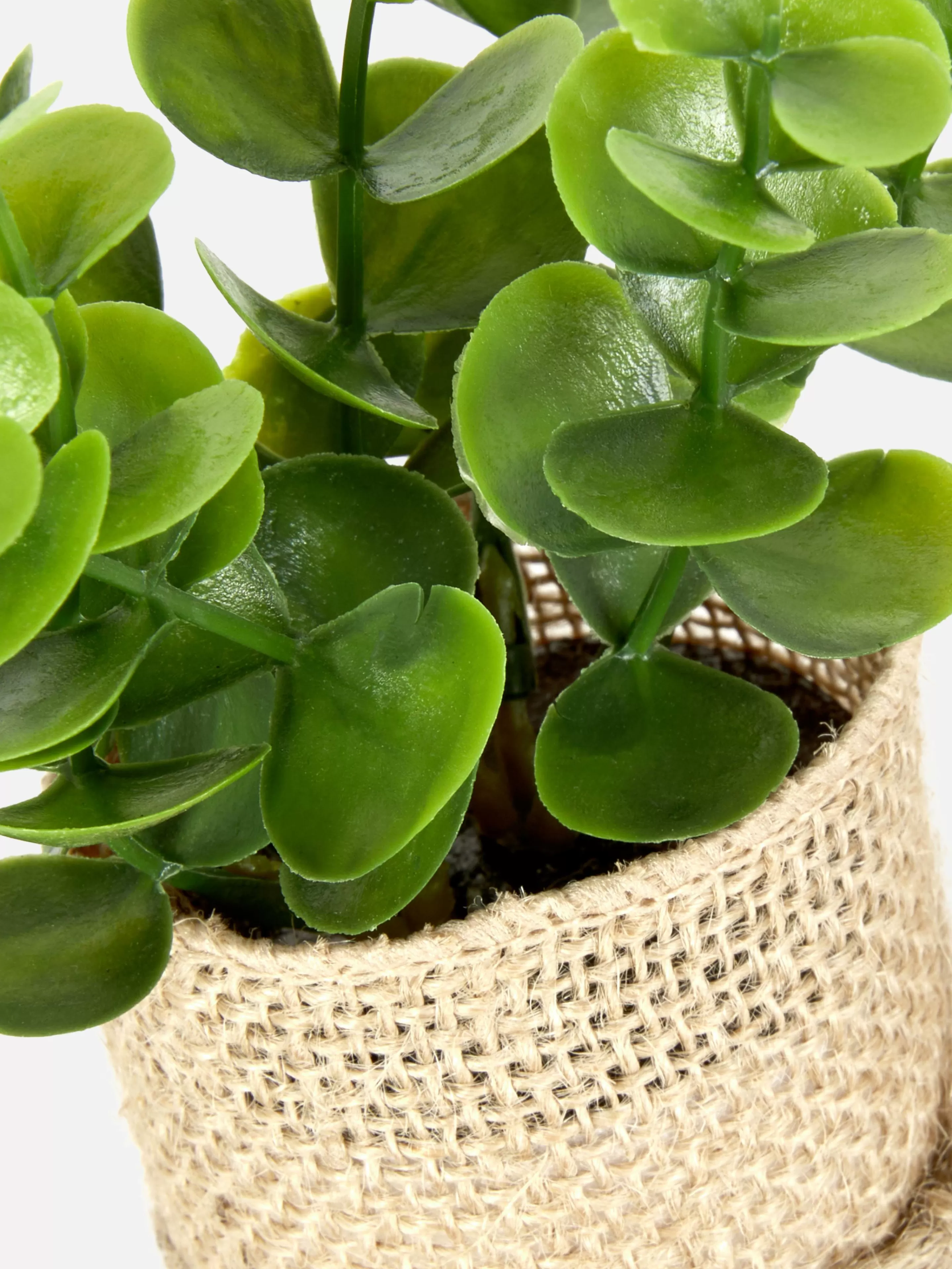 Succulente Artificielle Dans Un Pot En Jute-Primark Flash Sale