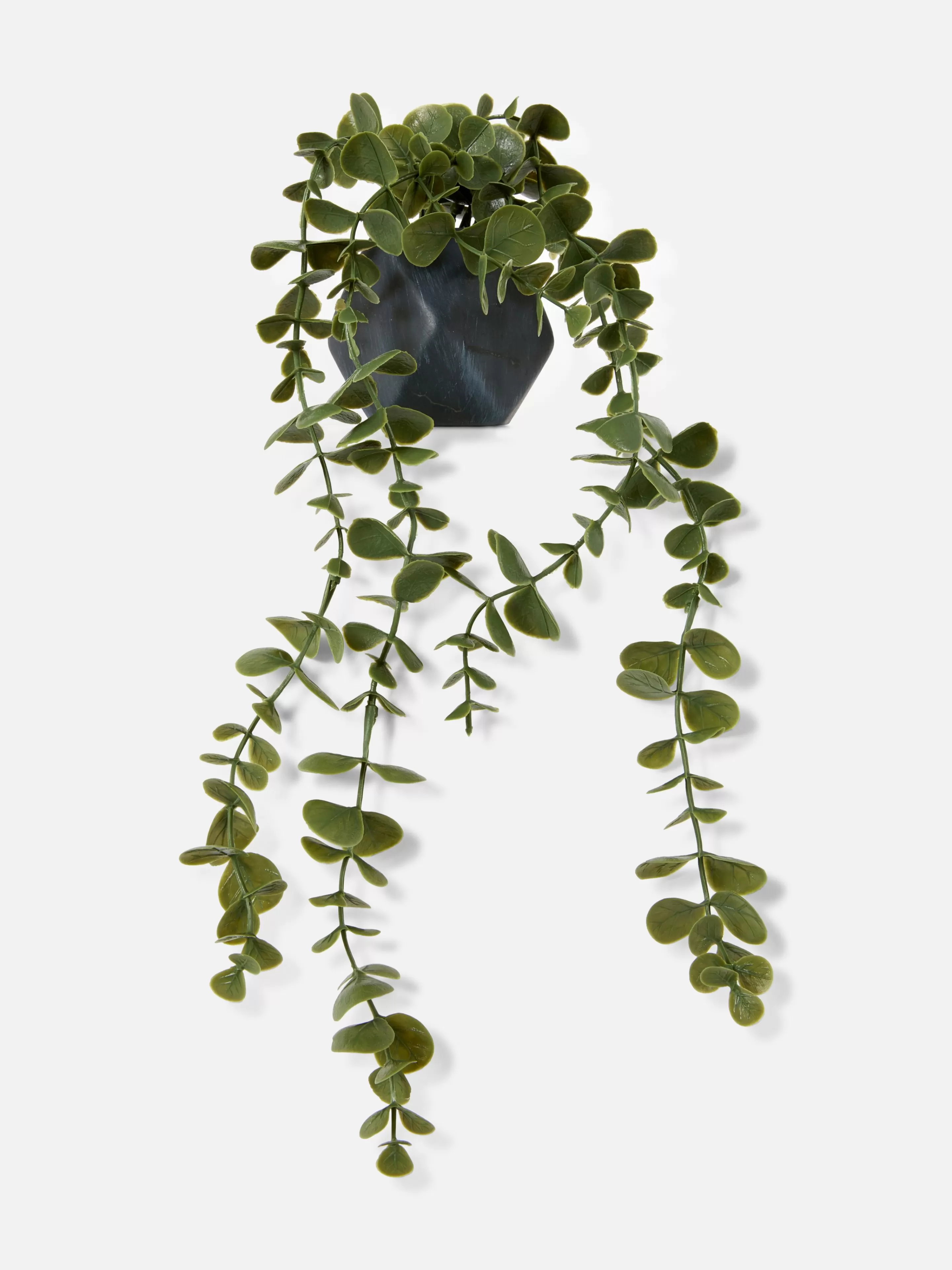 Succulente Artificielle Suspendue Dans Pot Géométrique-Primark Flash Sale