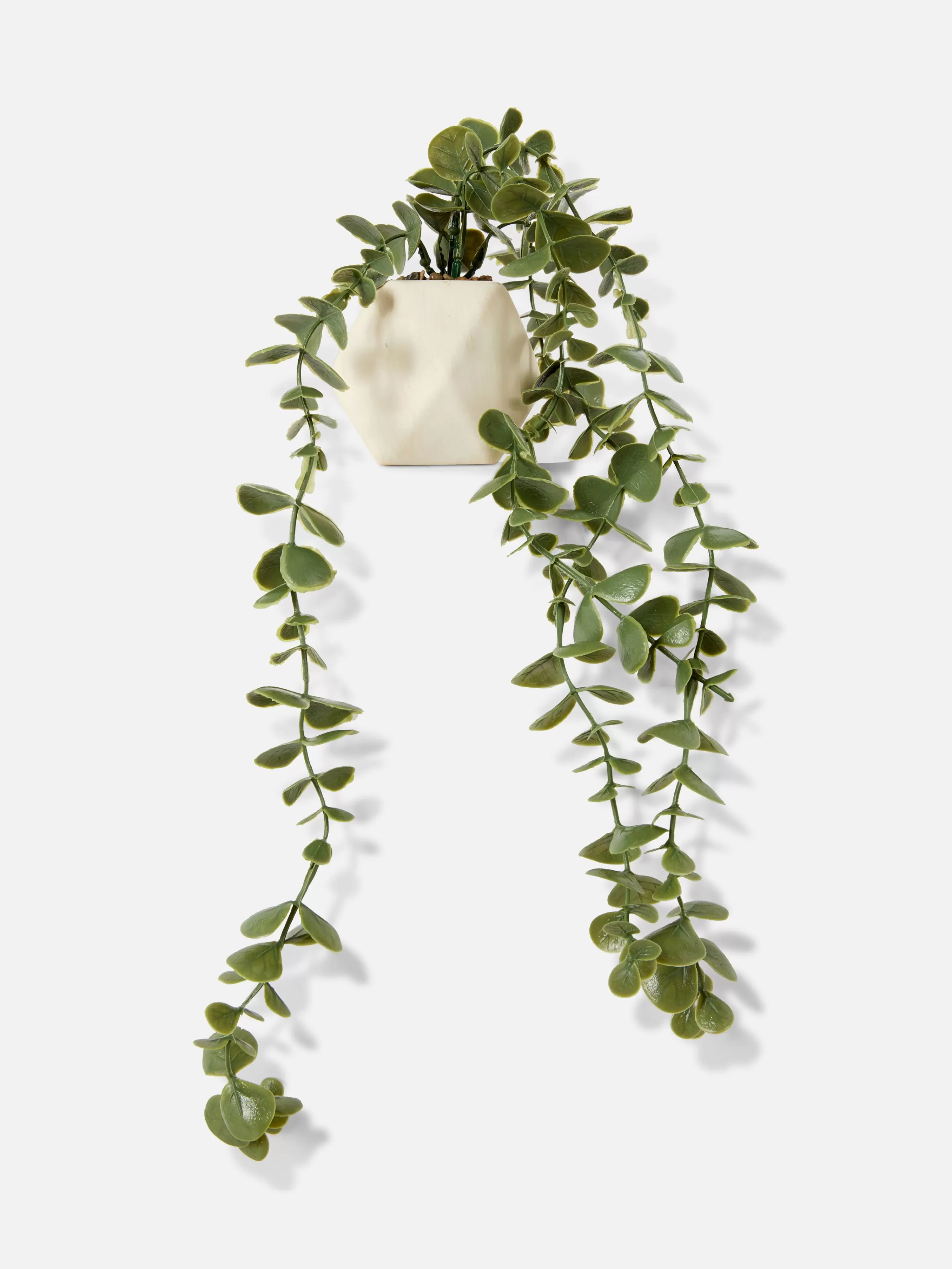 Succulente Artificielle Suspendue Dans Pot Géométrique-Primark Fashion