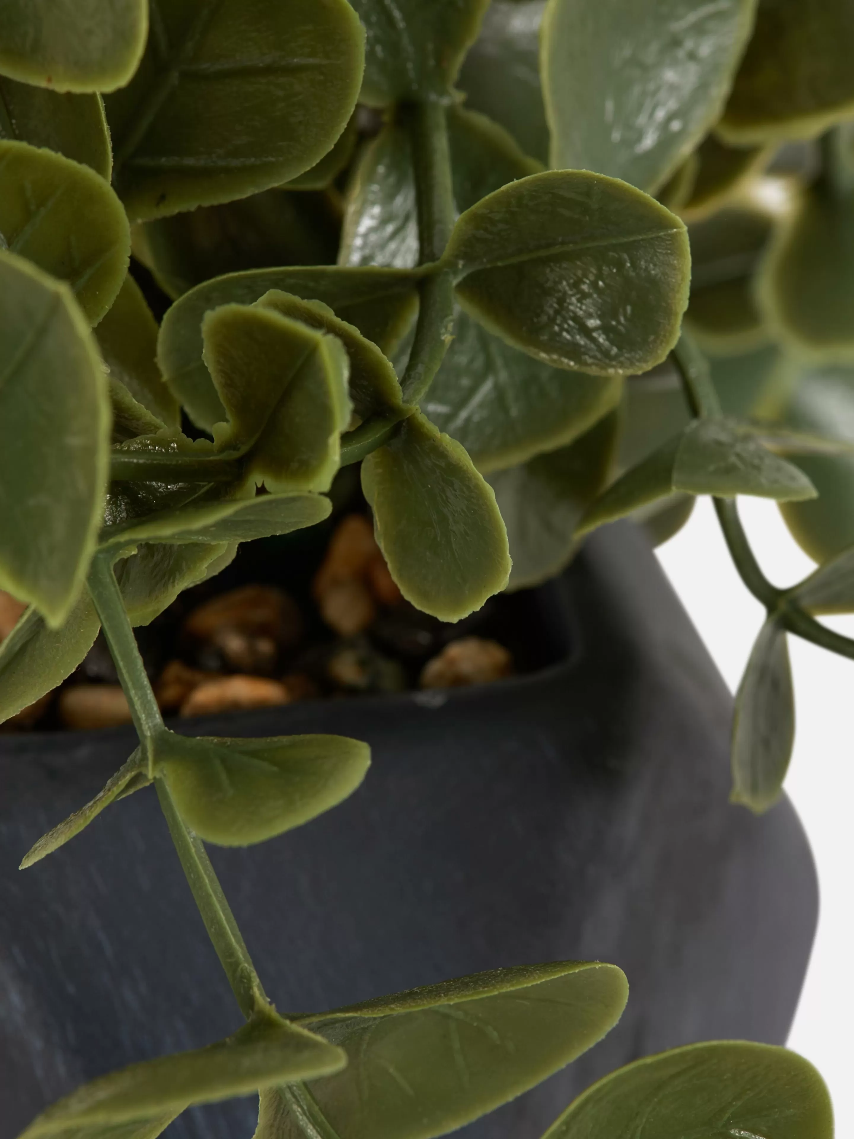 Succulente Artificielle Suspendue Dans Pot Géométrique-Primark Flash Sale