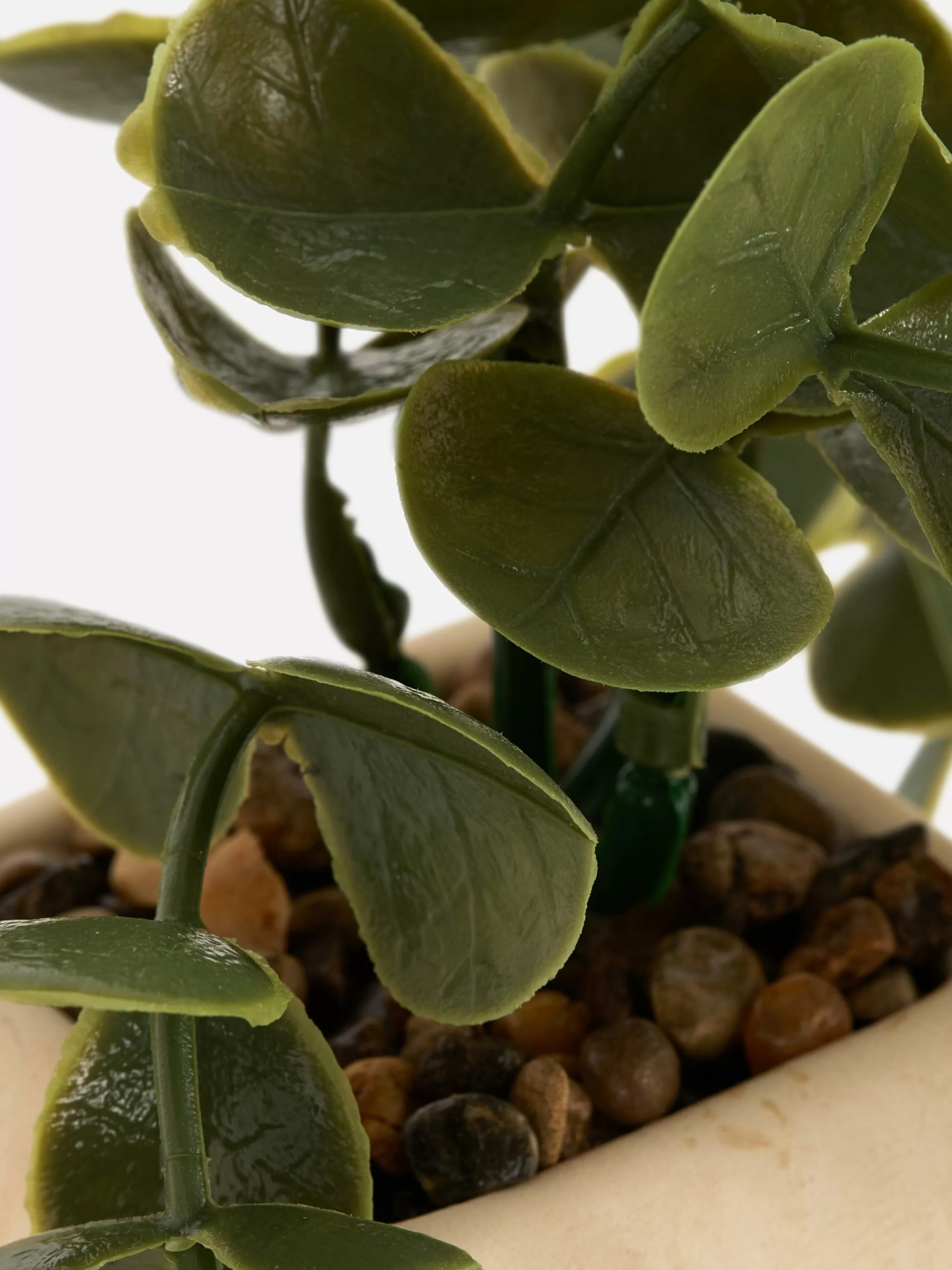 Succulente Artificielle Suspendue Dans Pot Géométrique-Primark Fashion